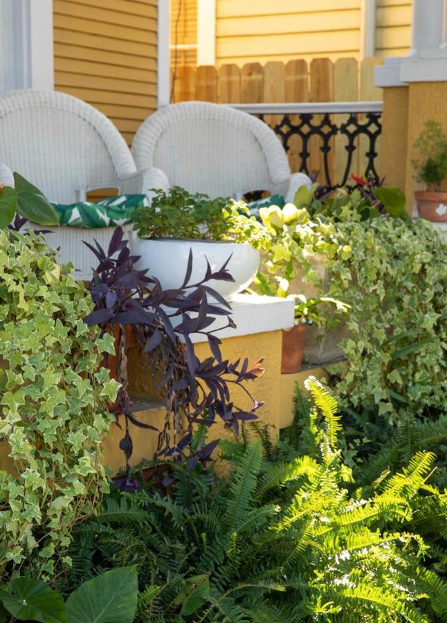 Auld Sweet Olive Bed And Breakfast ニューオーリンズ エクステリア 写真