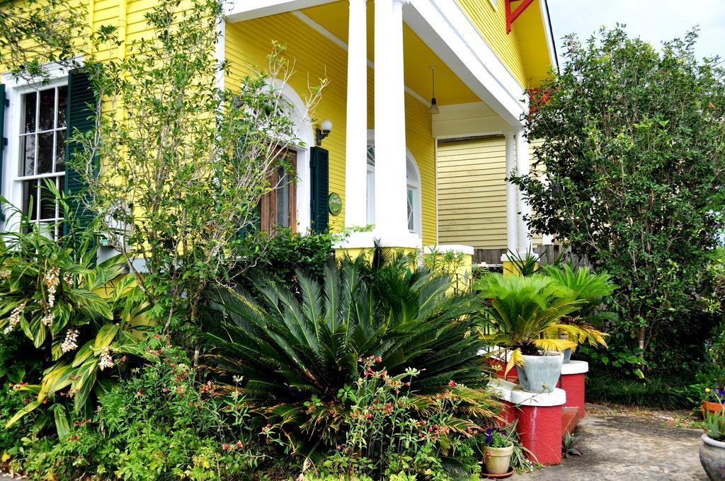 Auld Sweet Olive Bed And Breakfast ニューオーリンズ エクステリア 写真