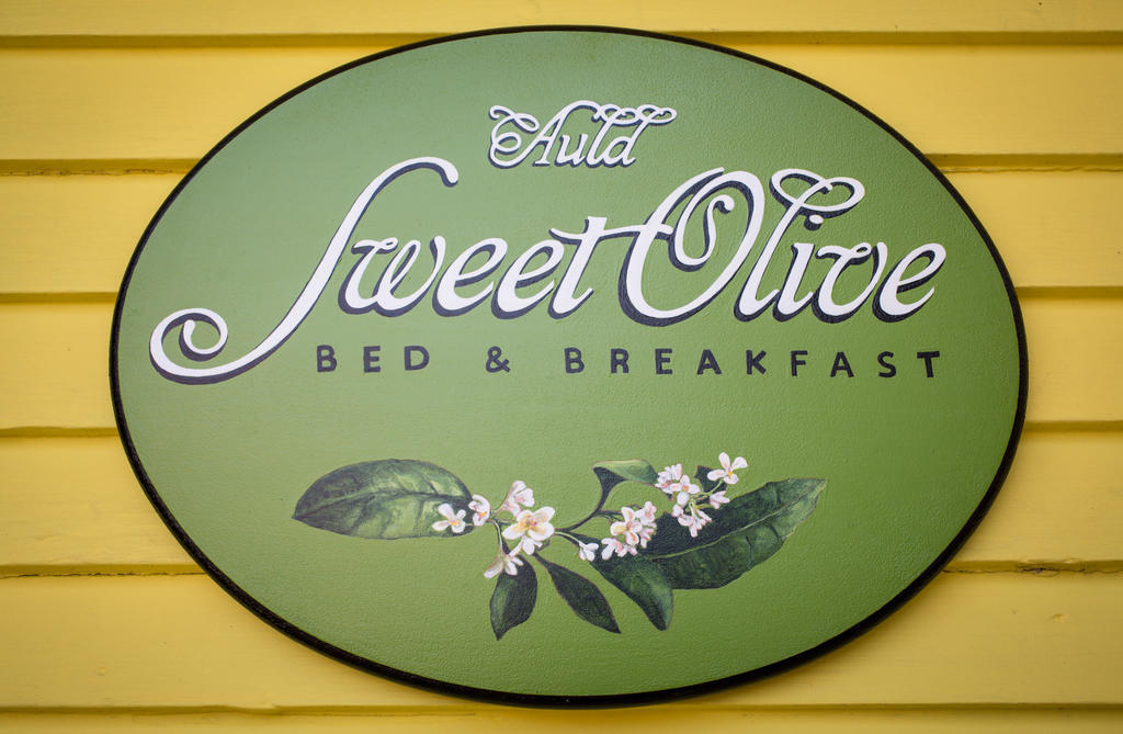 Auld Sweet Olive Bed And Breakfast ニューオーリンズ エクステリア 写真